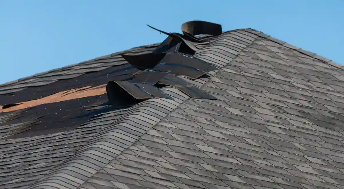 What to Do If You Find Missing Shingle’s